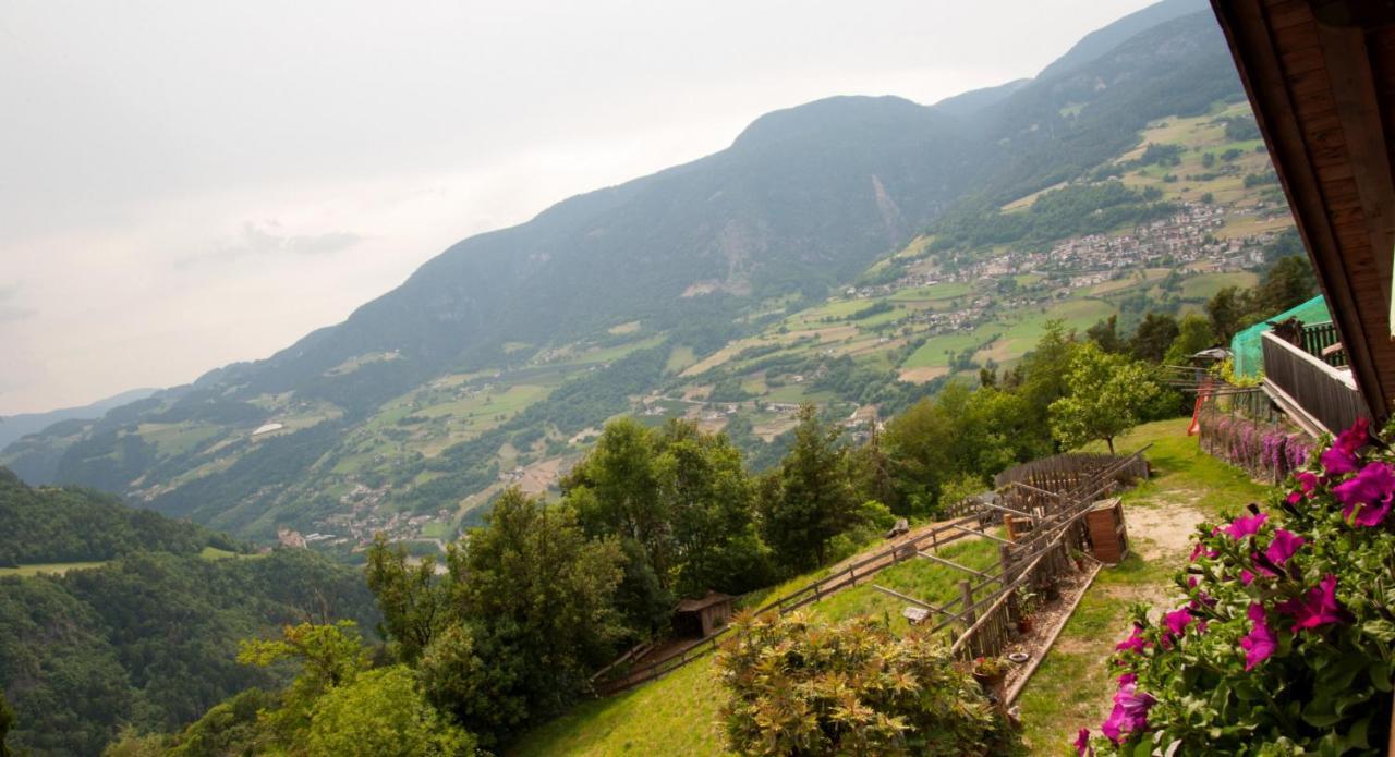 Ausservogelweiderhof Laion Kültér fotó