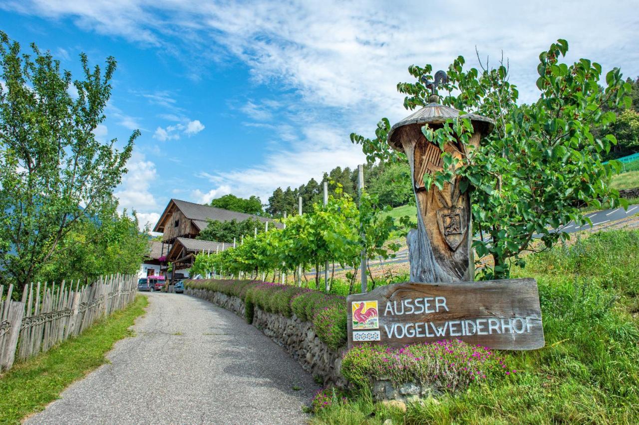 Ausservogelweiderhof Laion Kültér fotó