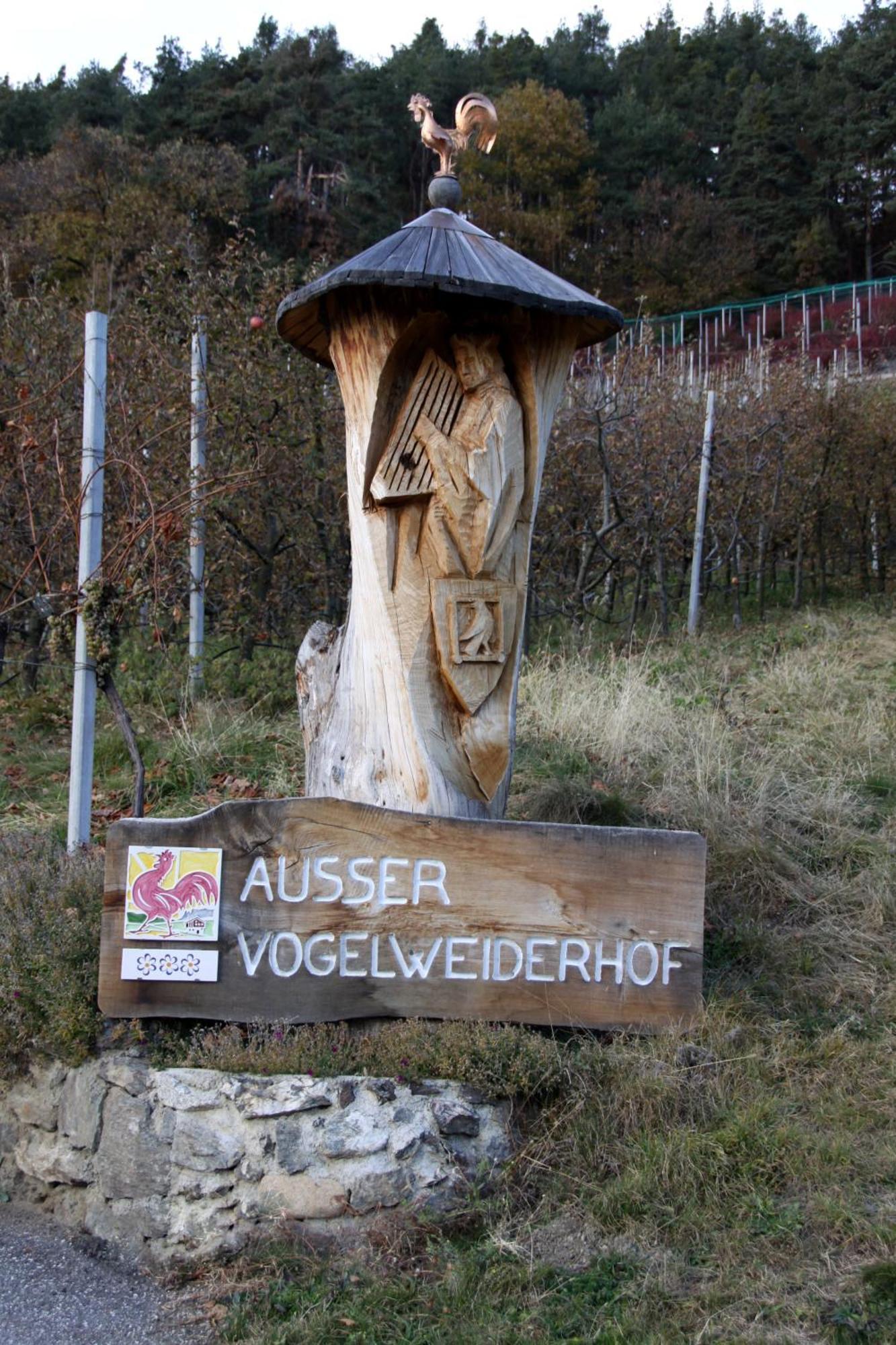 Ausservogelweiderhof Laion Kültér fotó