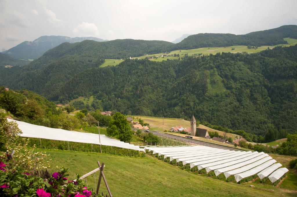 Ausservogelweiderhof Laion Kültér fotó