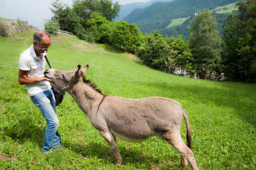 Ausservogelweiderhof Laion Kültér fotó